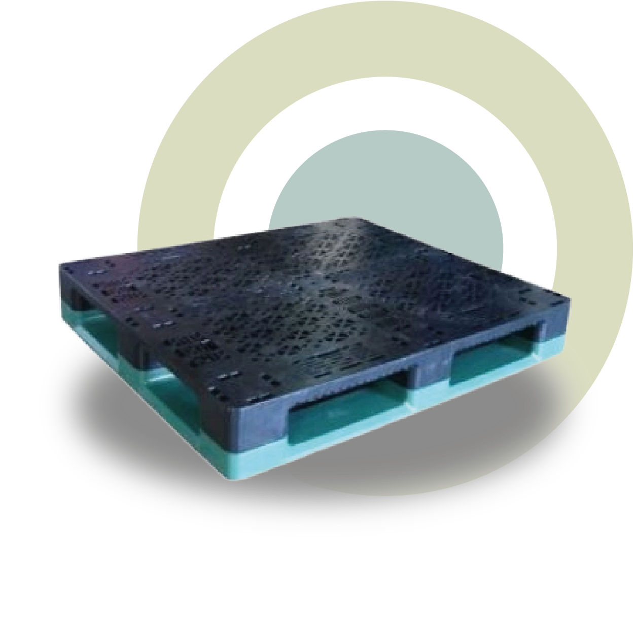 Tarima plastico