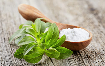 Stevia conoce los beneficios, composición y su uso