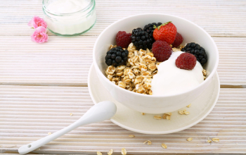 Qué es el yogur